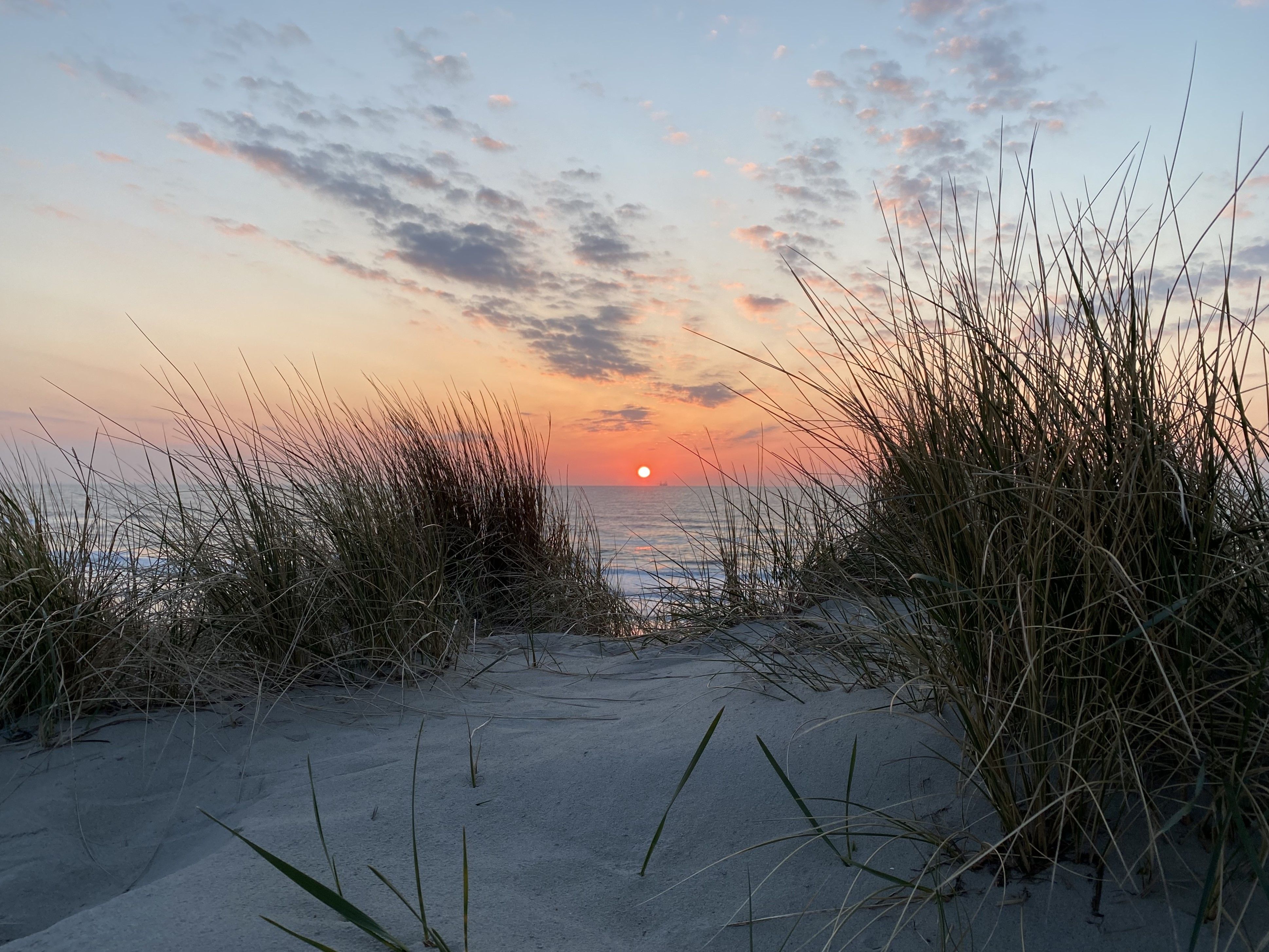 Terschelling of Texel? Dit zijn de verschillen